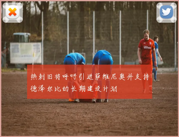 热刺旧将呼吁引进萨维尼奥并支持德泽尔比的长期建设计划