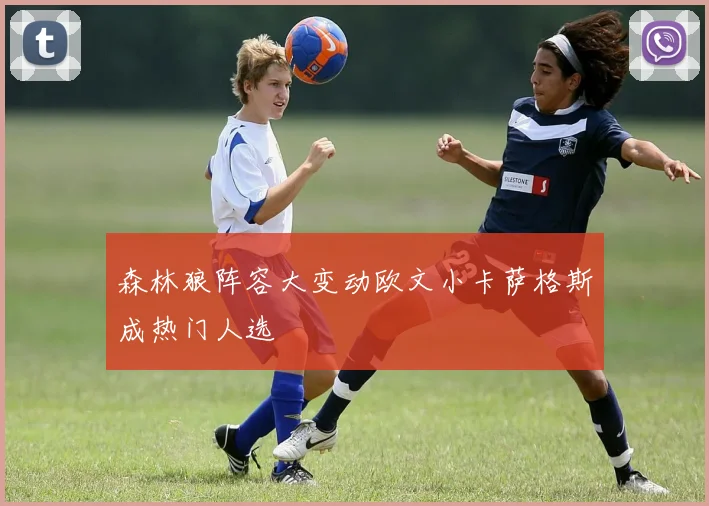 森林狼阵容大变动欧文小卡萨格斯成热门人选